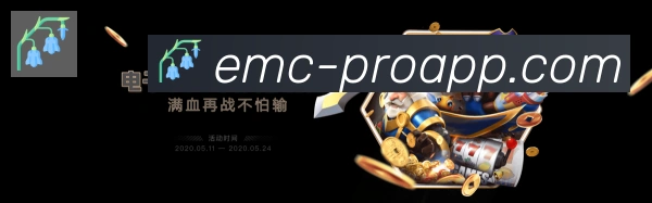 EMC易倍体育发展历程